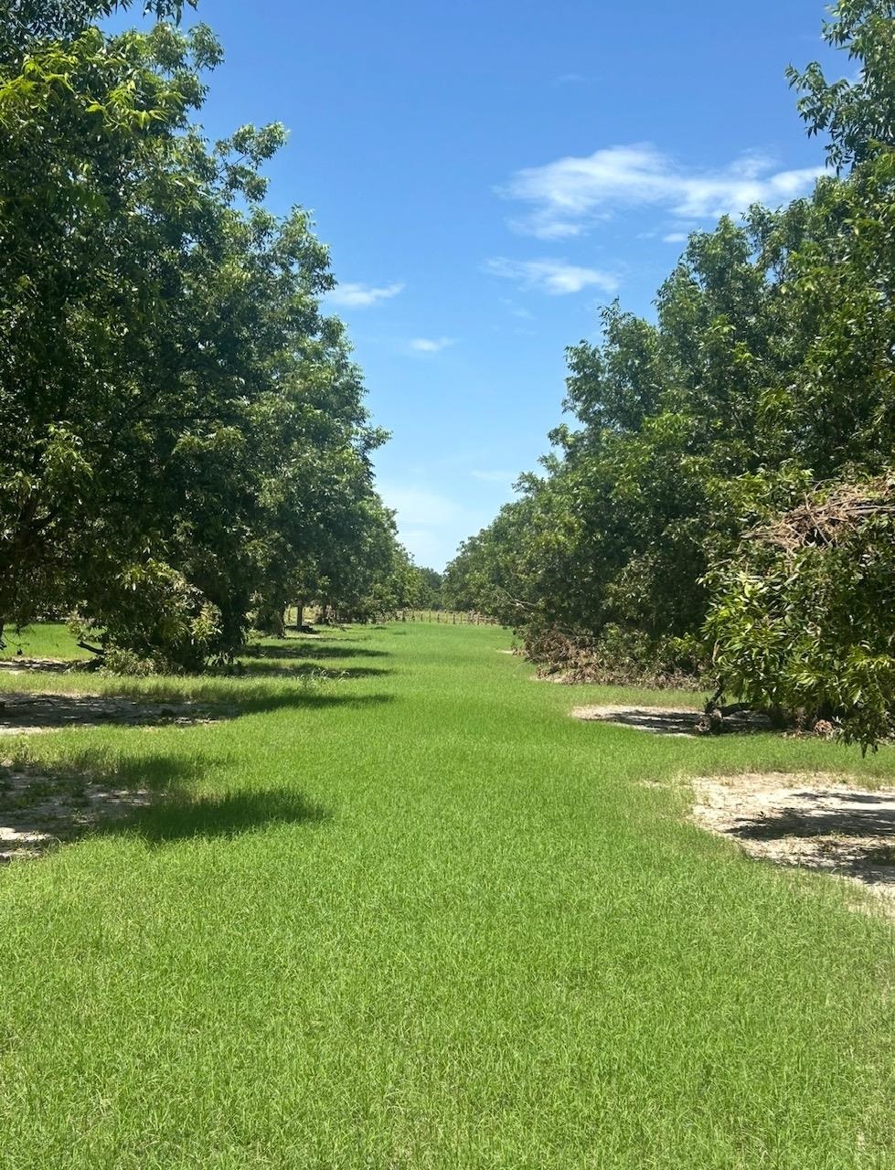 708 W Gunter Street San Saba TX 76871