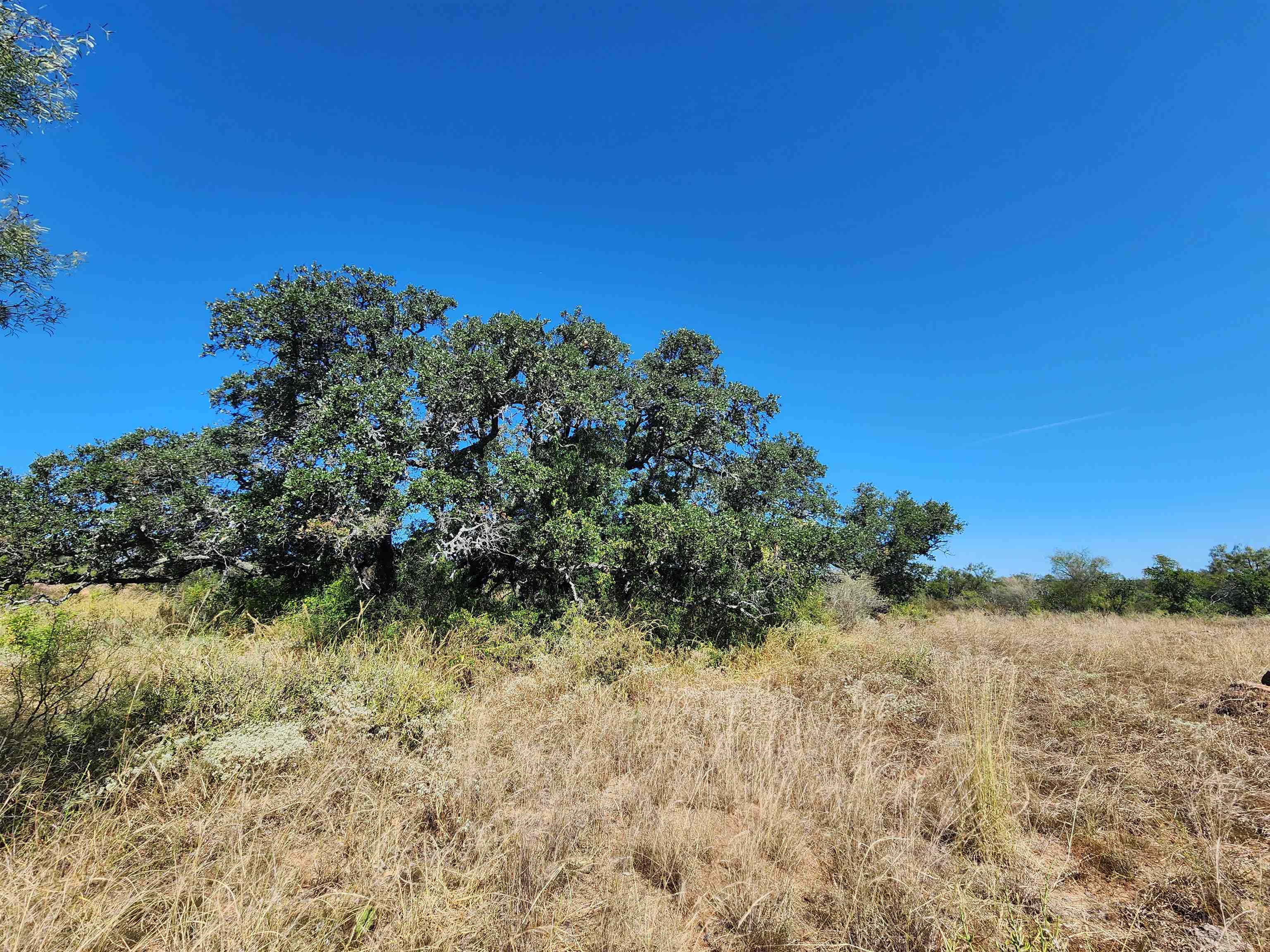 Tbd W Highway 29 Llano TX 78643