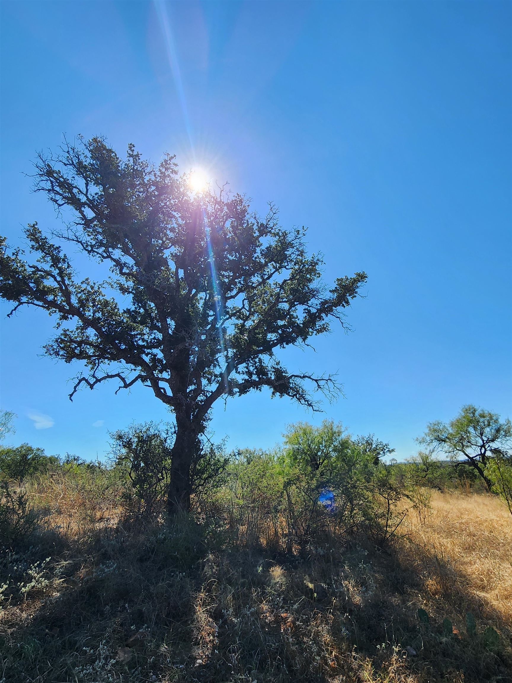 Tbd W Highway 29 Llano TX 78643
