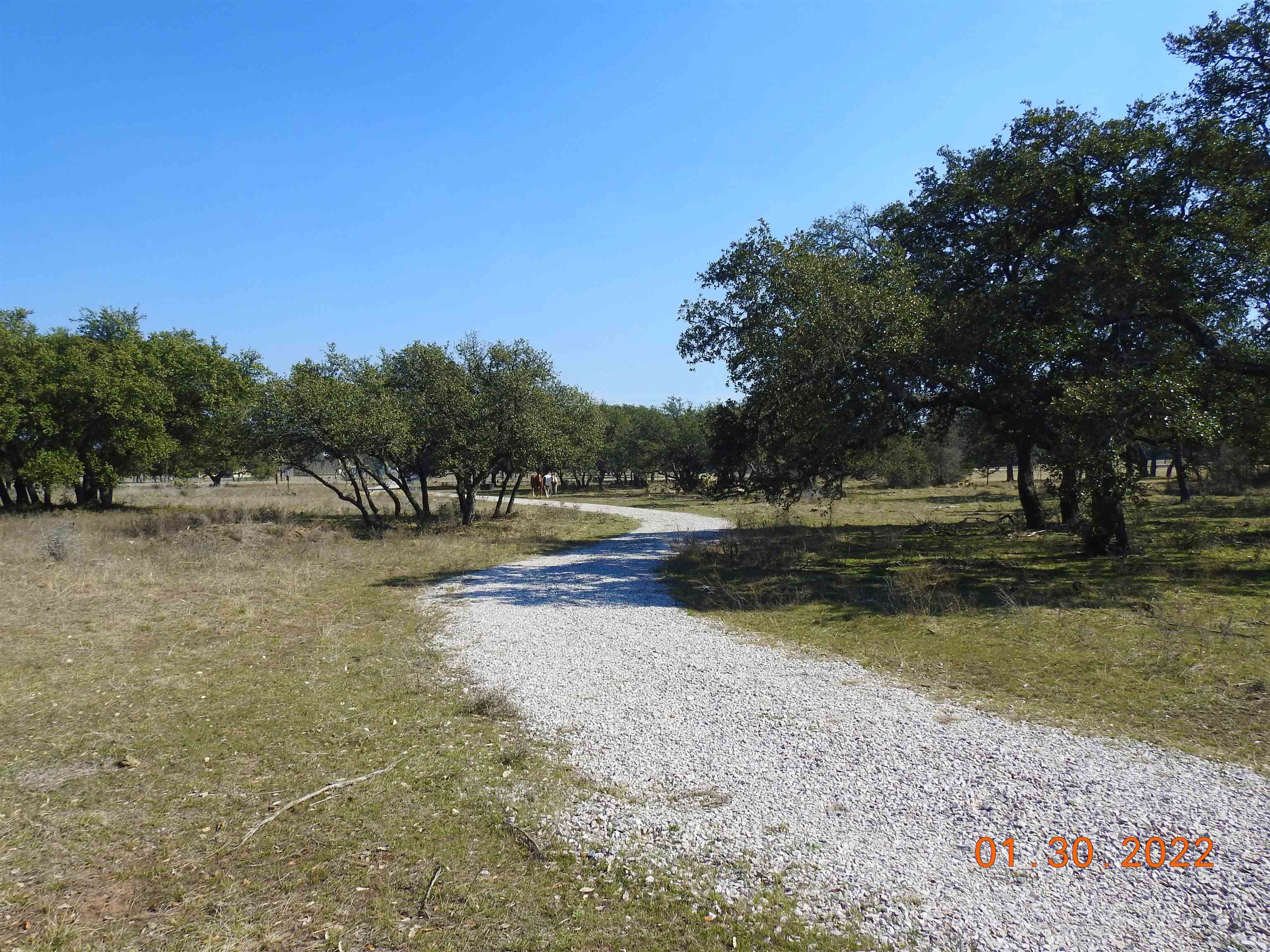 350 Amber Oaks Burnet TX 78611