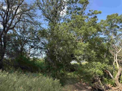 Tbd Quail Valley Drive Marble Falls TX 78654