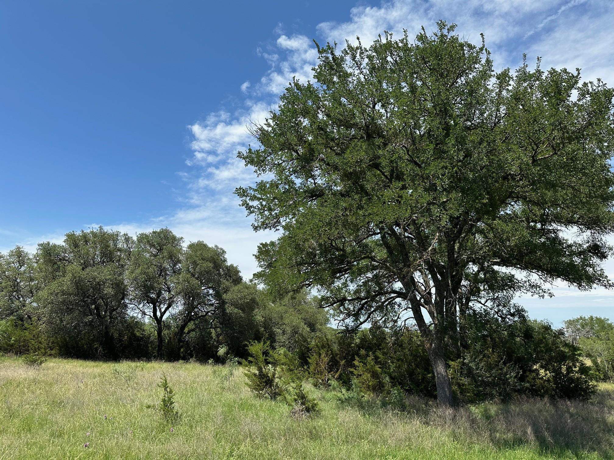Unk County Road 330 Bertram TX 78605