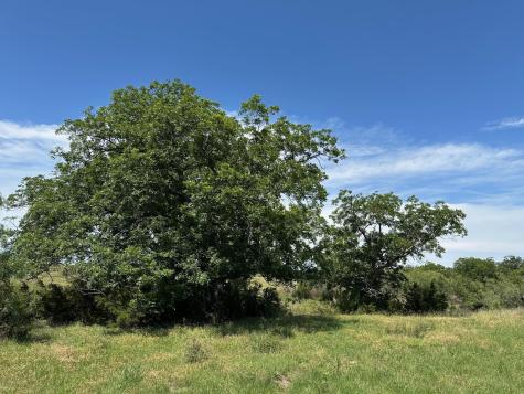 Unk County Road 330 Bertram TX 78605