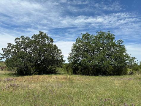 Unk County Road 330 Bertram TX 78605