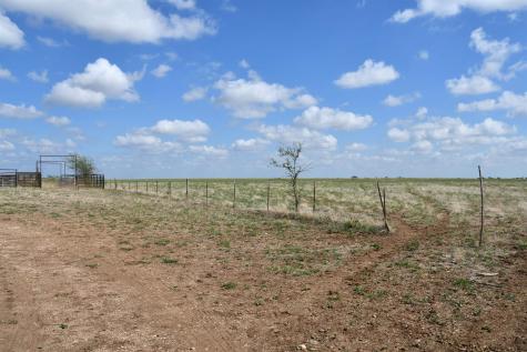 Tbd 000 County Road 269 Out Of Area TX 76561