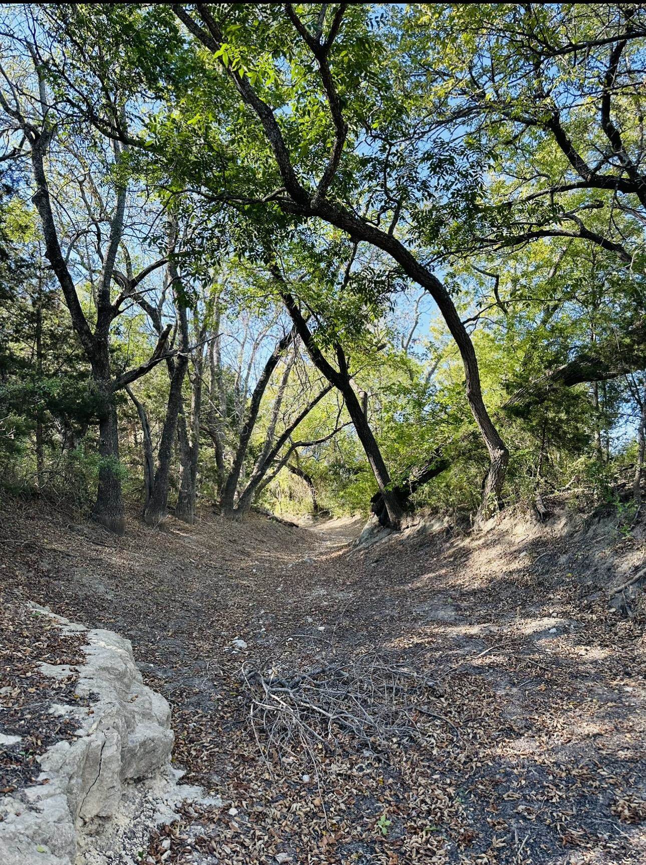 1220 E Fm 243 Bertram TX 78605