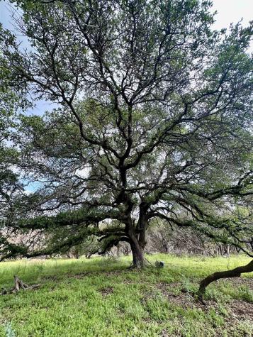 285 Donnie Drive Lampasas TX 76550