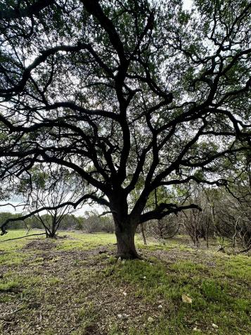 285 Donnie Drive Lampasas TX 76550