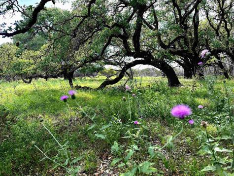 285 Donnie Drive Lampasas TX 76550