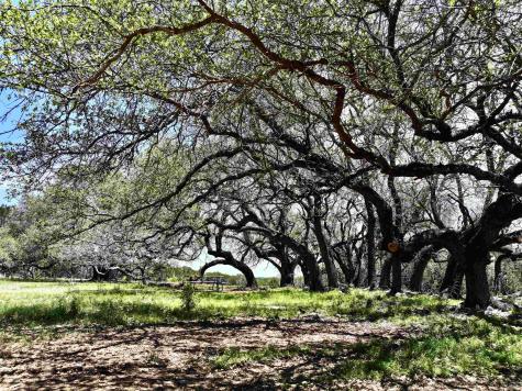 285 Donnie Drive Lampasas TX 76550