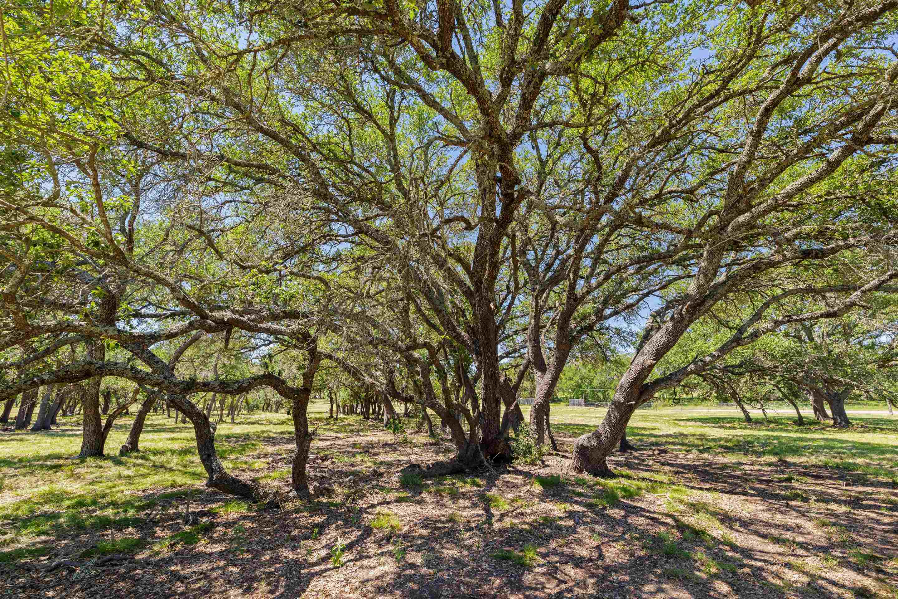 937 Flat Creek Road Johnson City TX 78636