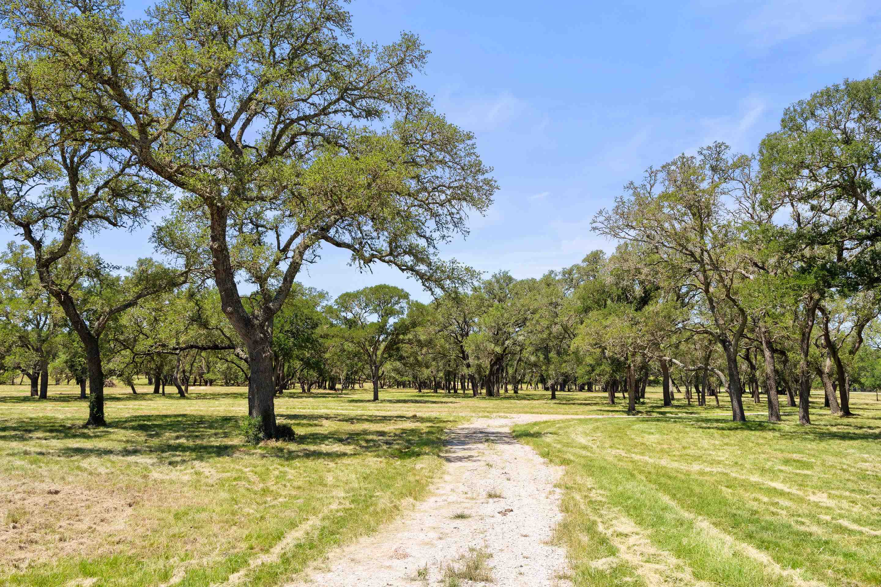 937 Flat Creek Road Johnson City TX 78636