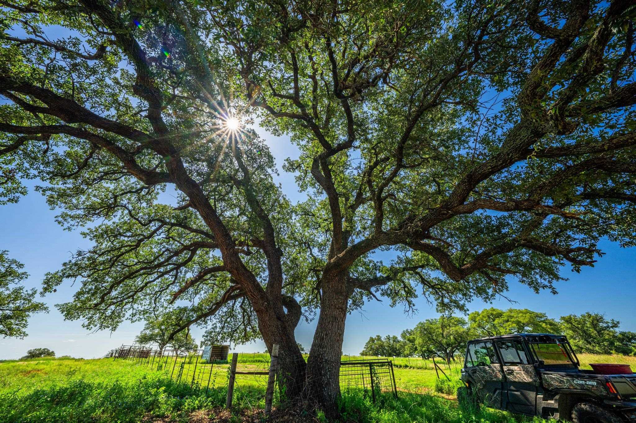 2602 County Road 406 Llano TX 78643