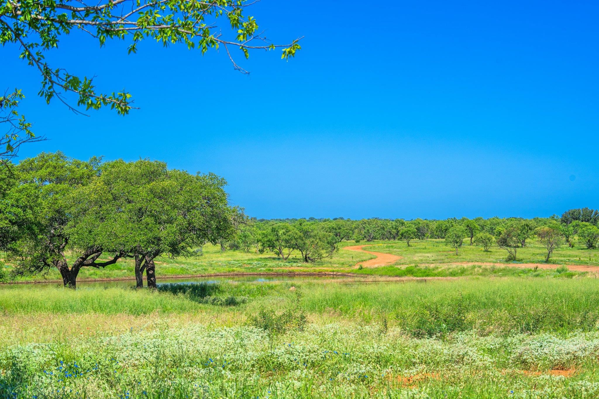 2602 County Road 406 Llano TX 78643