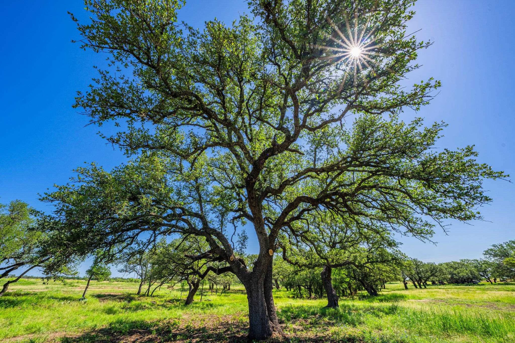 2602 County Road 406 Llano TX 78643