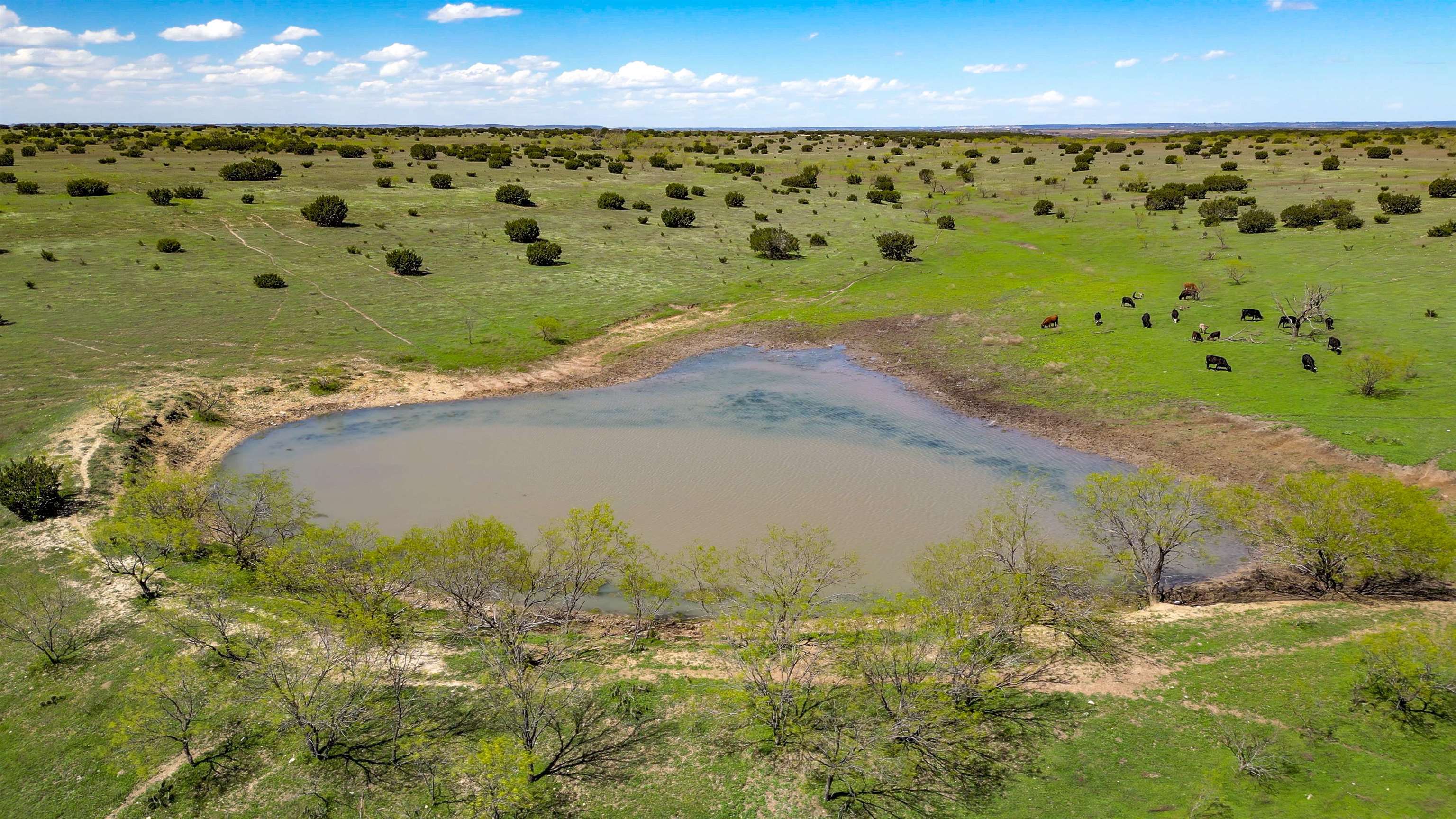 4121 County Road 2719 Out Of Area TX 76525