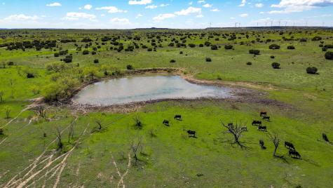 4121 County Road 2719 Out Of Area TX 76525