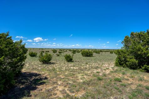 4121 County Road 2719 Out Of Area TX 76525
