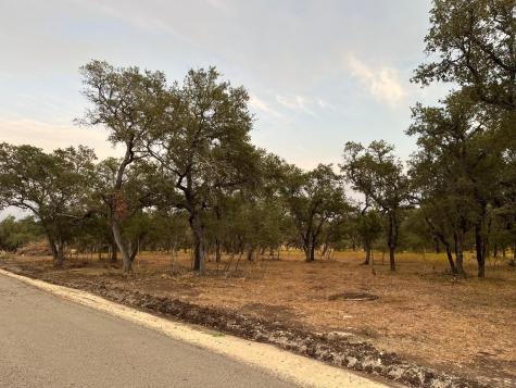 Tbd Lot 10 County Road 340 Burnet TX 78611