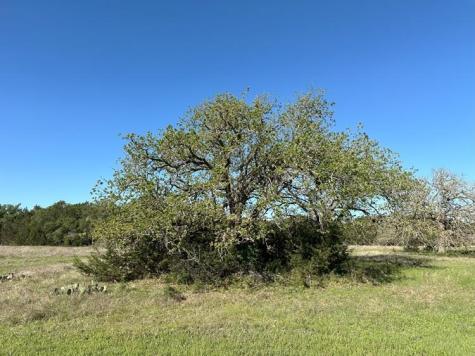 500 Thousand Oaks Trail Liberty Hill TX 78641