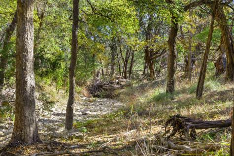 1151 Fawn Valley Drive Canyon Lake TX 78133