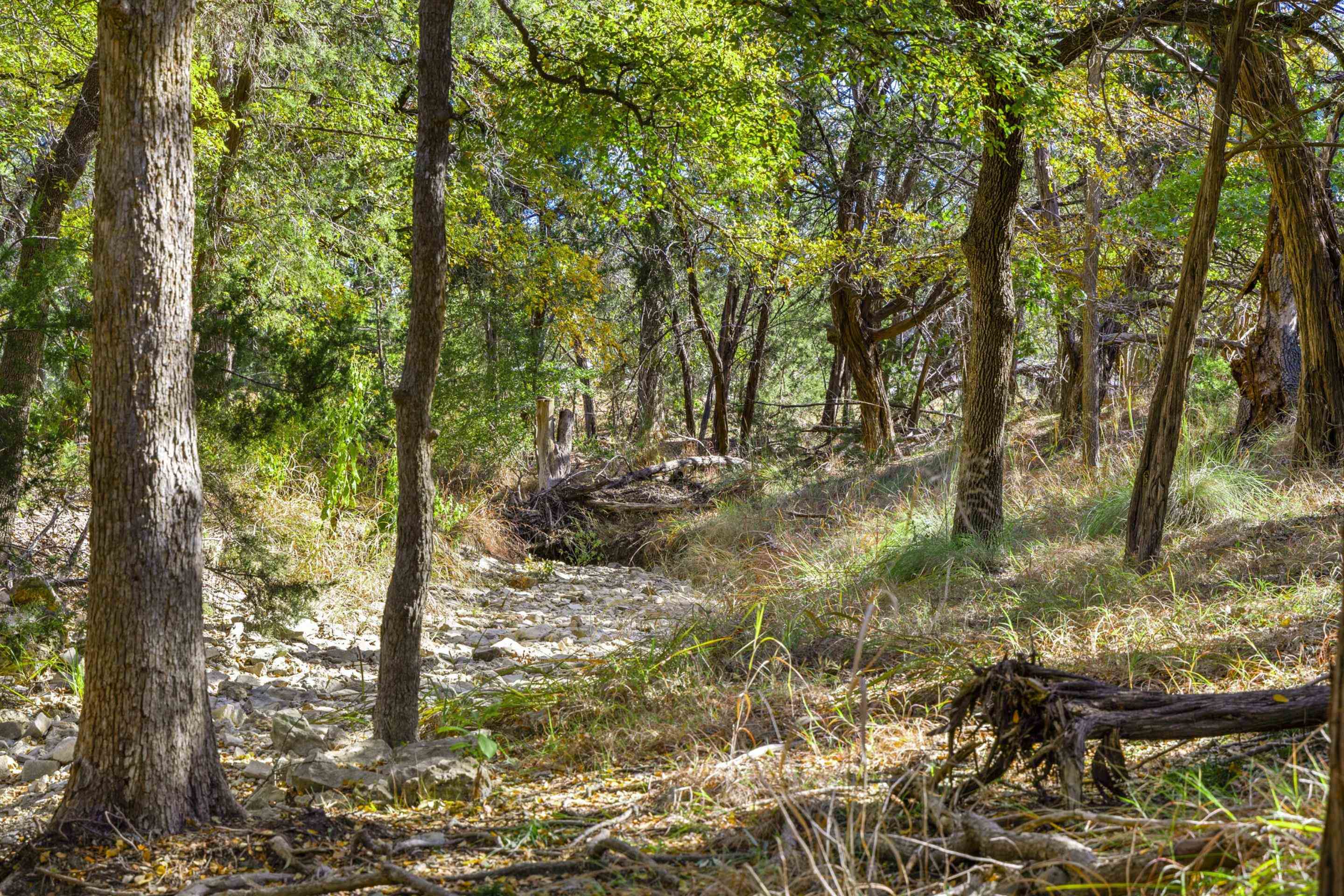 1151 Fawn Valley Drive Canyon Lake TX 78133