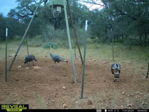 13495 Cr 204 Richland Springs TX 76871