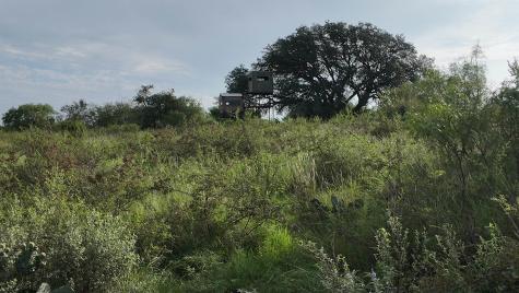 13495 Cr 204 Richland Springs TX 76871
