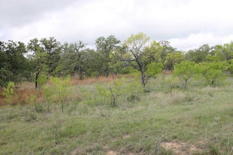 8095 Rr 2618 Road Mason TX 76856
