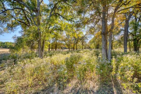 20949 Firefly Road Florence TX 76527