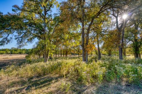 20949 Firefly Road Florence TX 76527