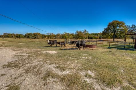 20949 Firefly Road Florence TX 76527