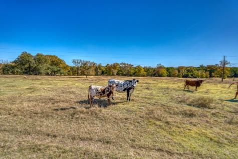 20949 Firefly Road Florence TX 76527