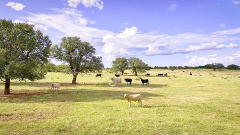 12119 W Highway 29 Llano TX 78643