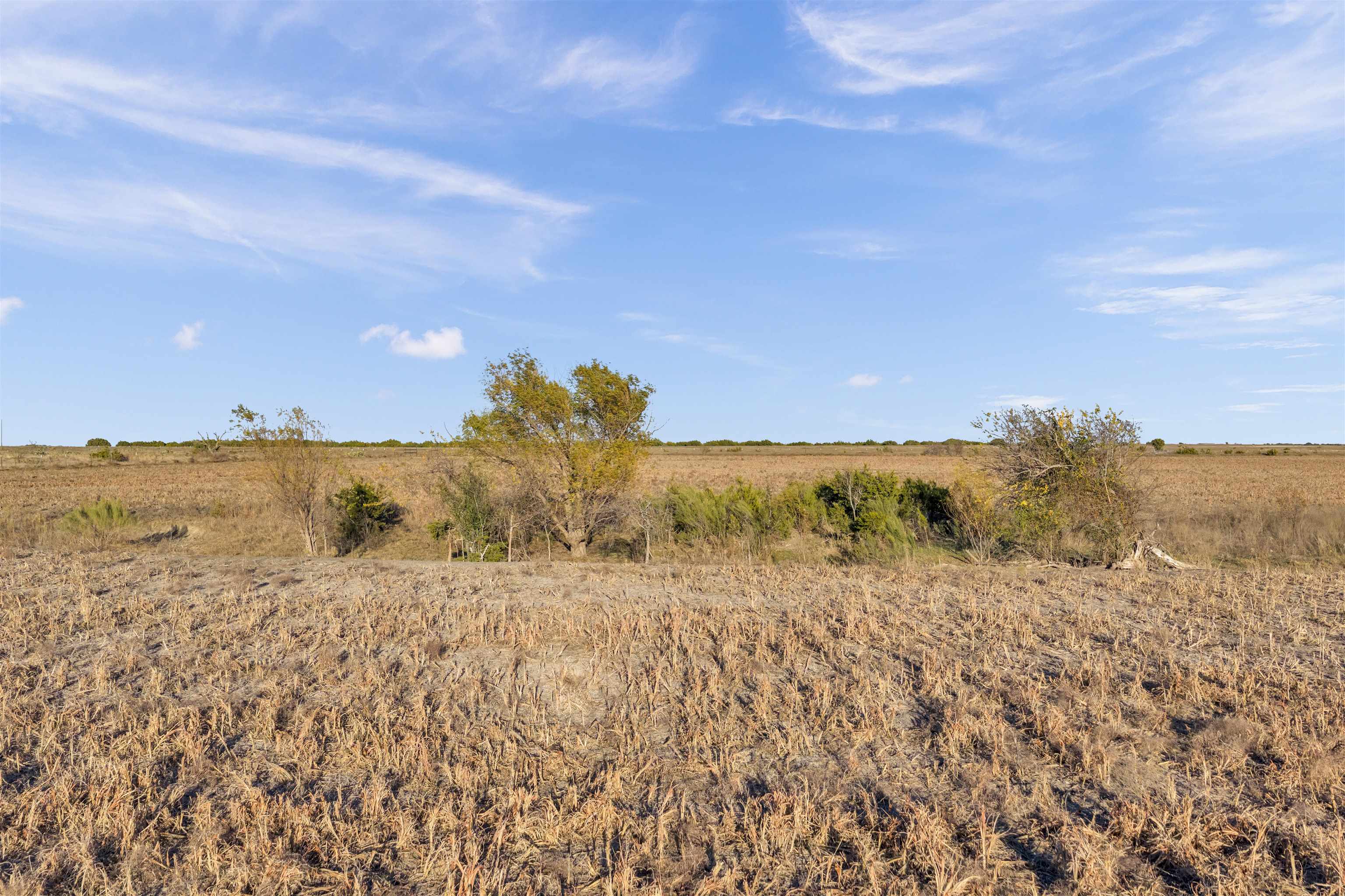 11064 Cr 210 Bertram TX 78605