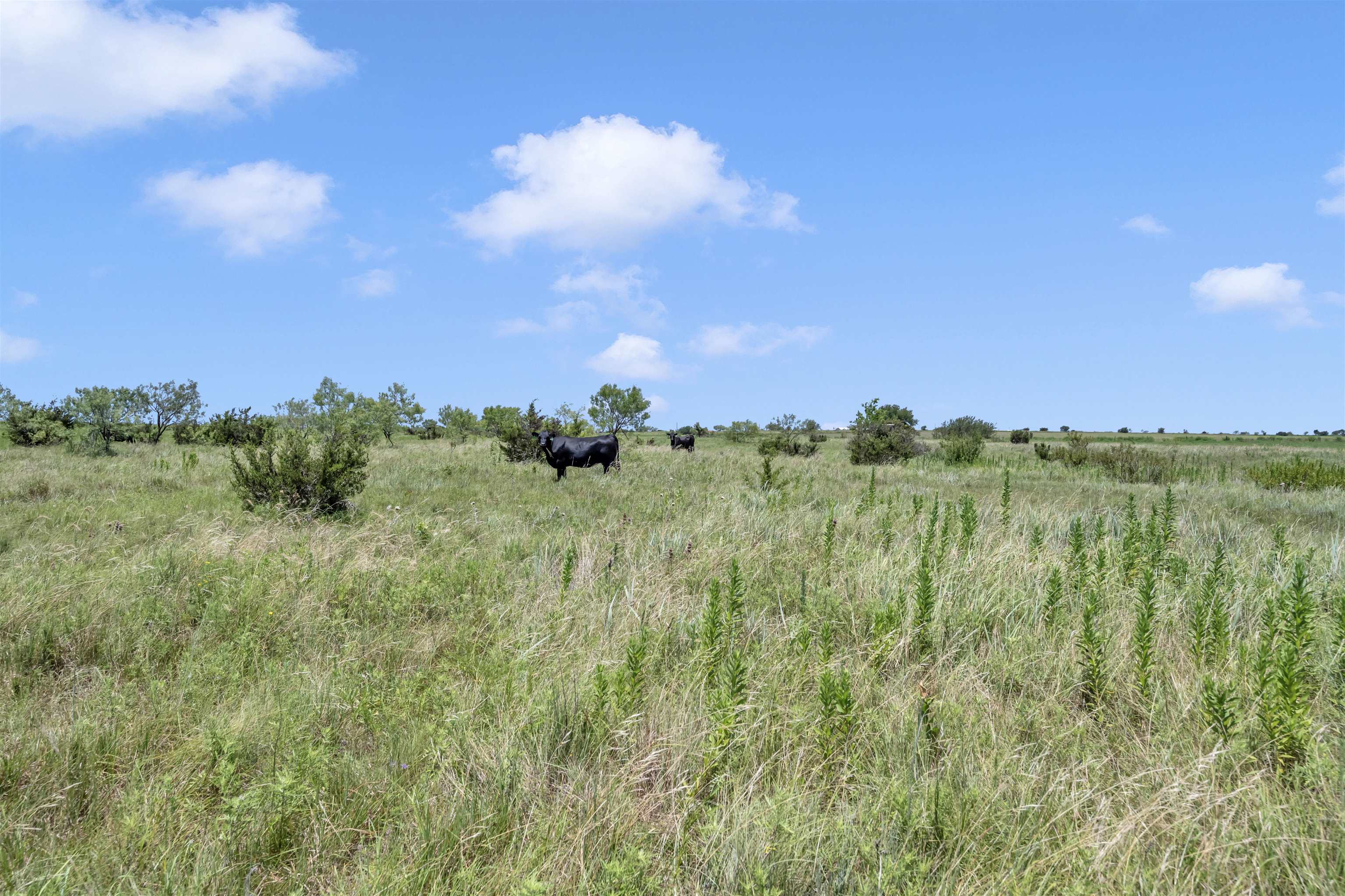 11064 Cr 210 Bertram TX 78605