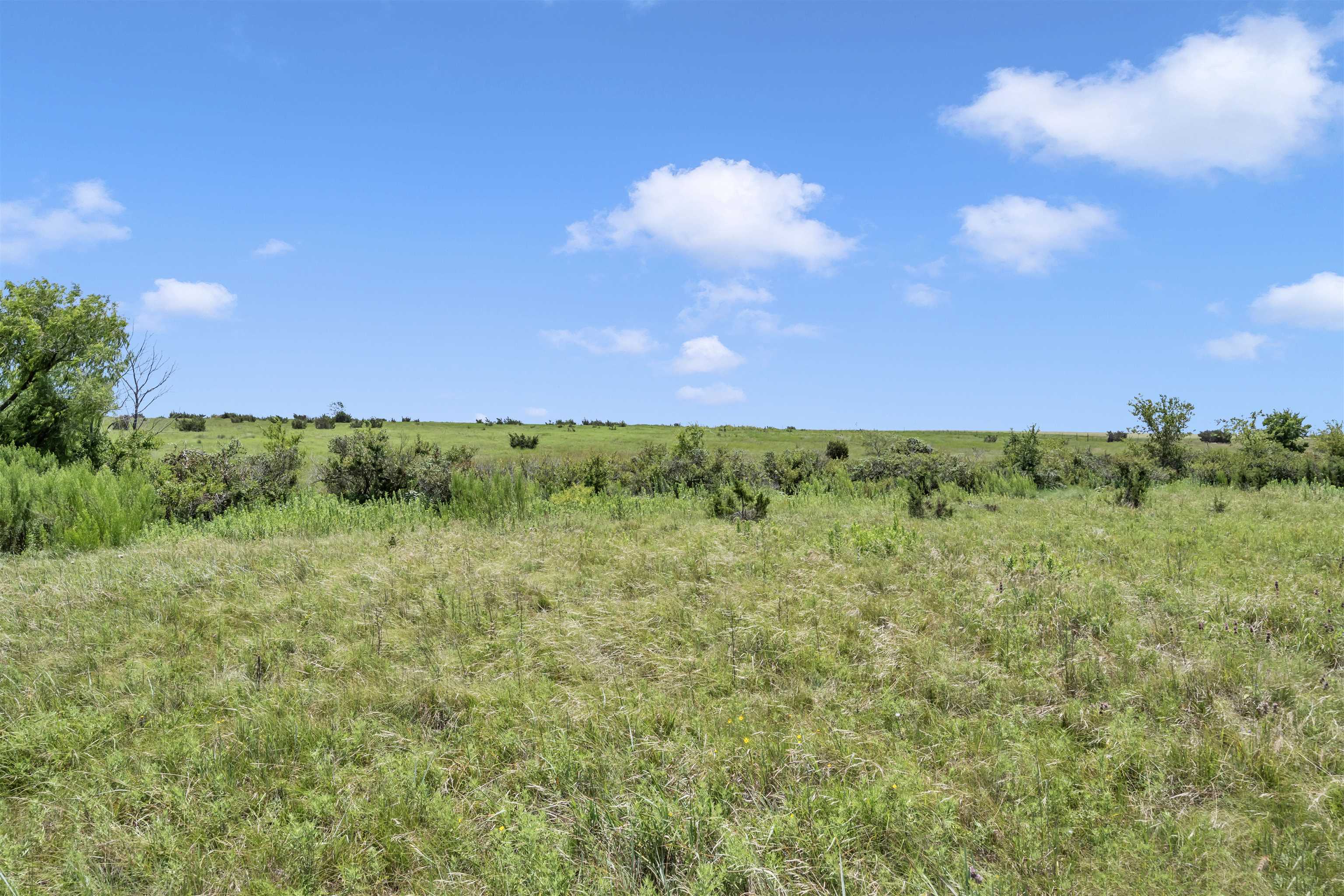 11064 Cr 210 Bertram TX 78605