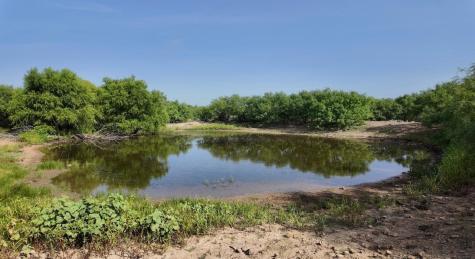 122 Pr 2562 Santa Anna TX 76878
