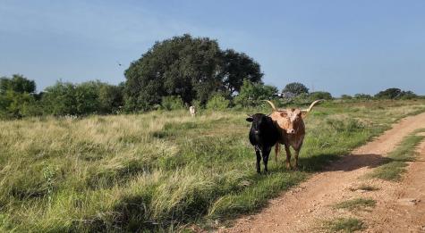 122 Pr 2562 Santa Anna TX 76878