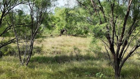 122 Pr 2562 Santa Anna TX 76878