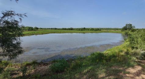 122 Pr 2562 Santa Anna TX 76878