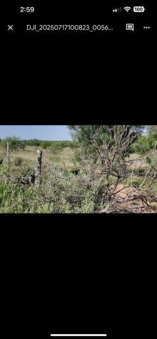122 Pr 2562 Santa Anna TX 76878