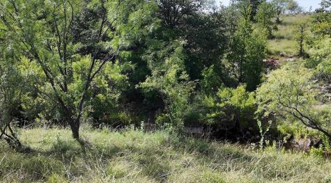 122 Pr 2562 Santa Anna TX 76878