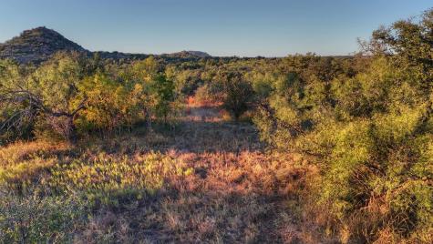 18248 Bode Peak Road Pontotoc TX 76869