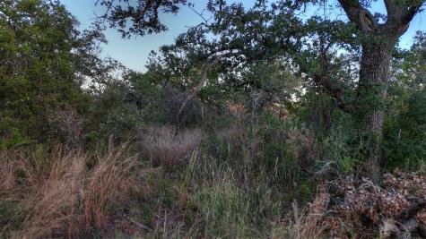 18248 Bode Peak Road Pontotoc TX 76869