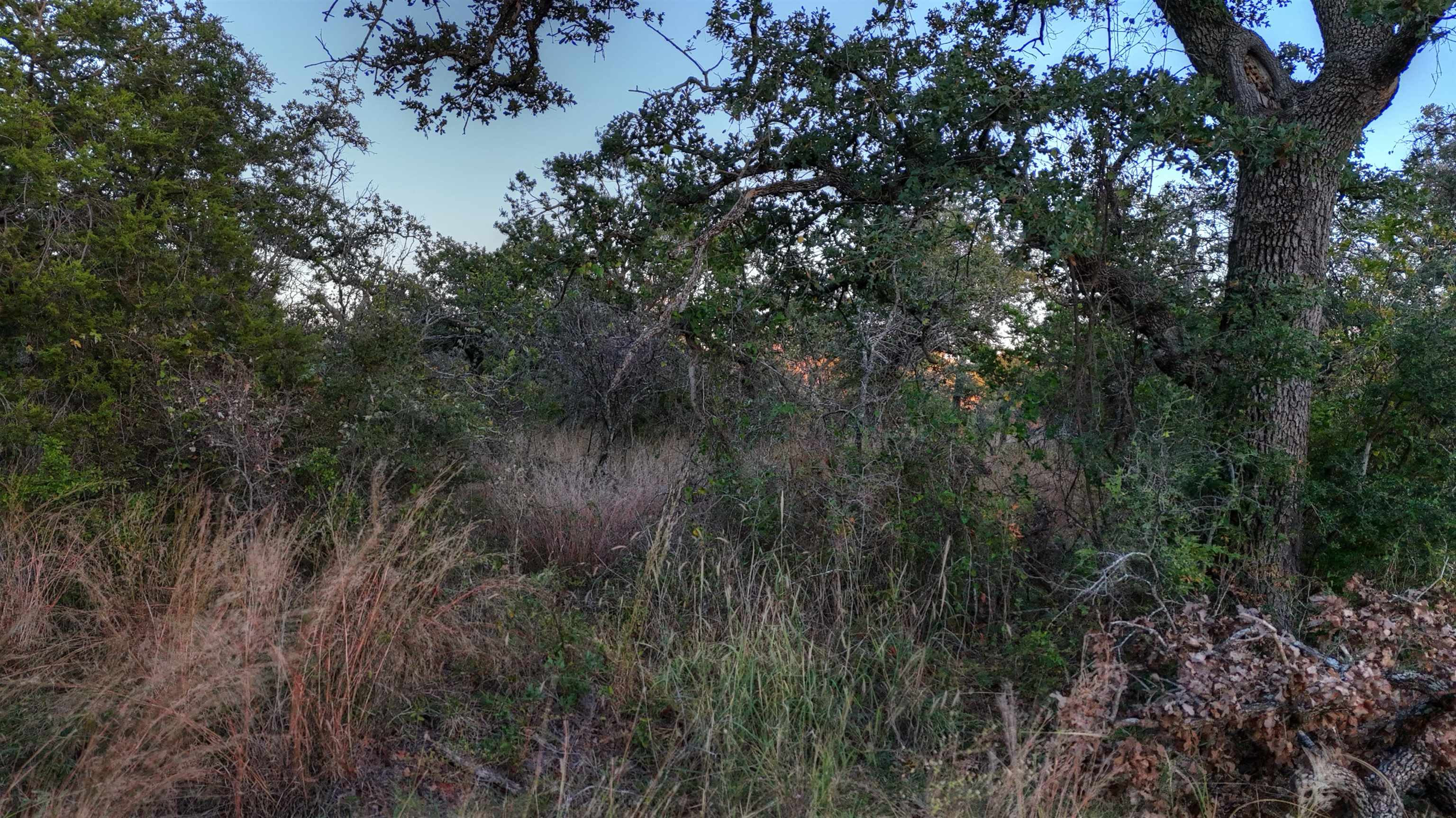 18248 Bode Peak Road Pontotoc TX 76869
