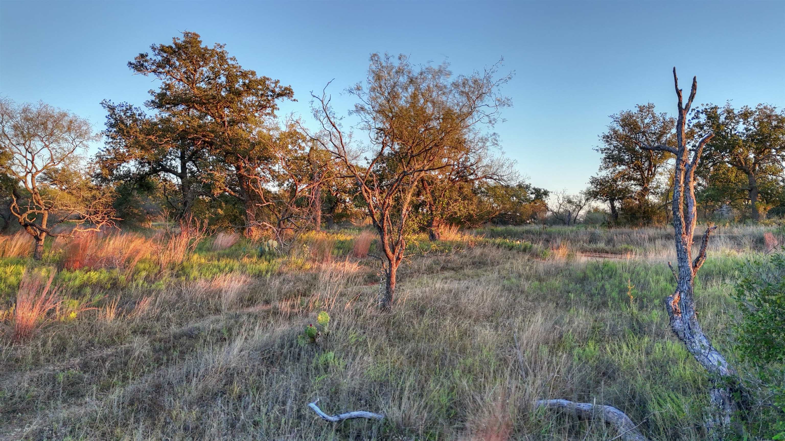 18248 Bode Peak Road Pontotoc TX 76869