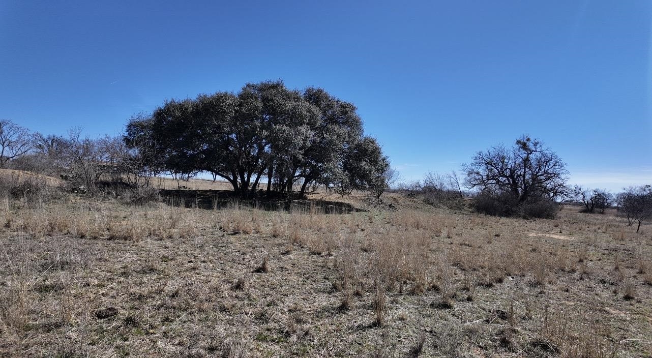 599 Cr 241 Rochelle TX 76872