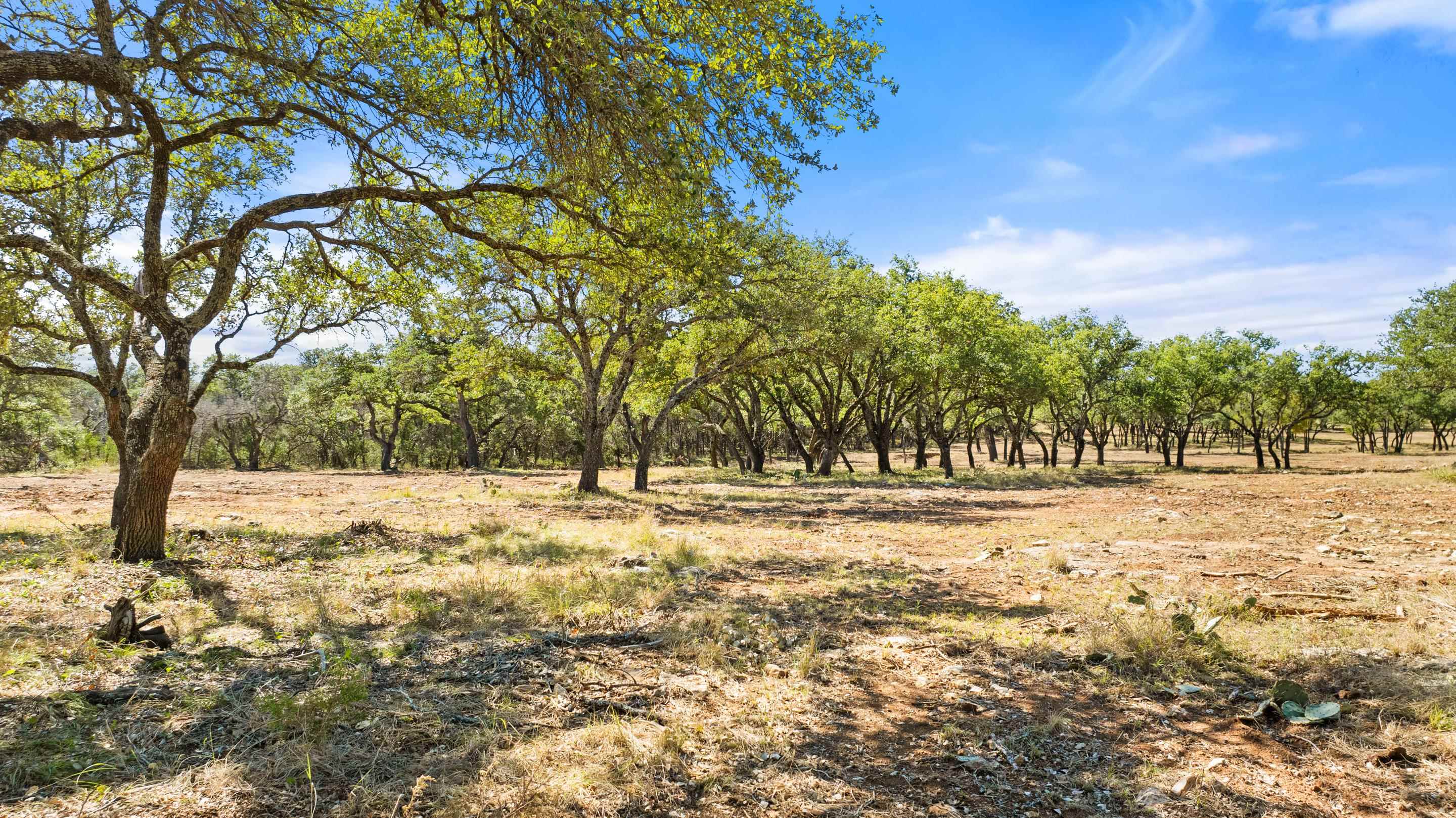 2560 Towhead Valley Road Johnson City TX 78636