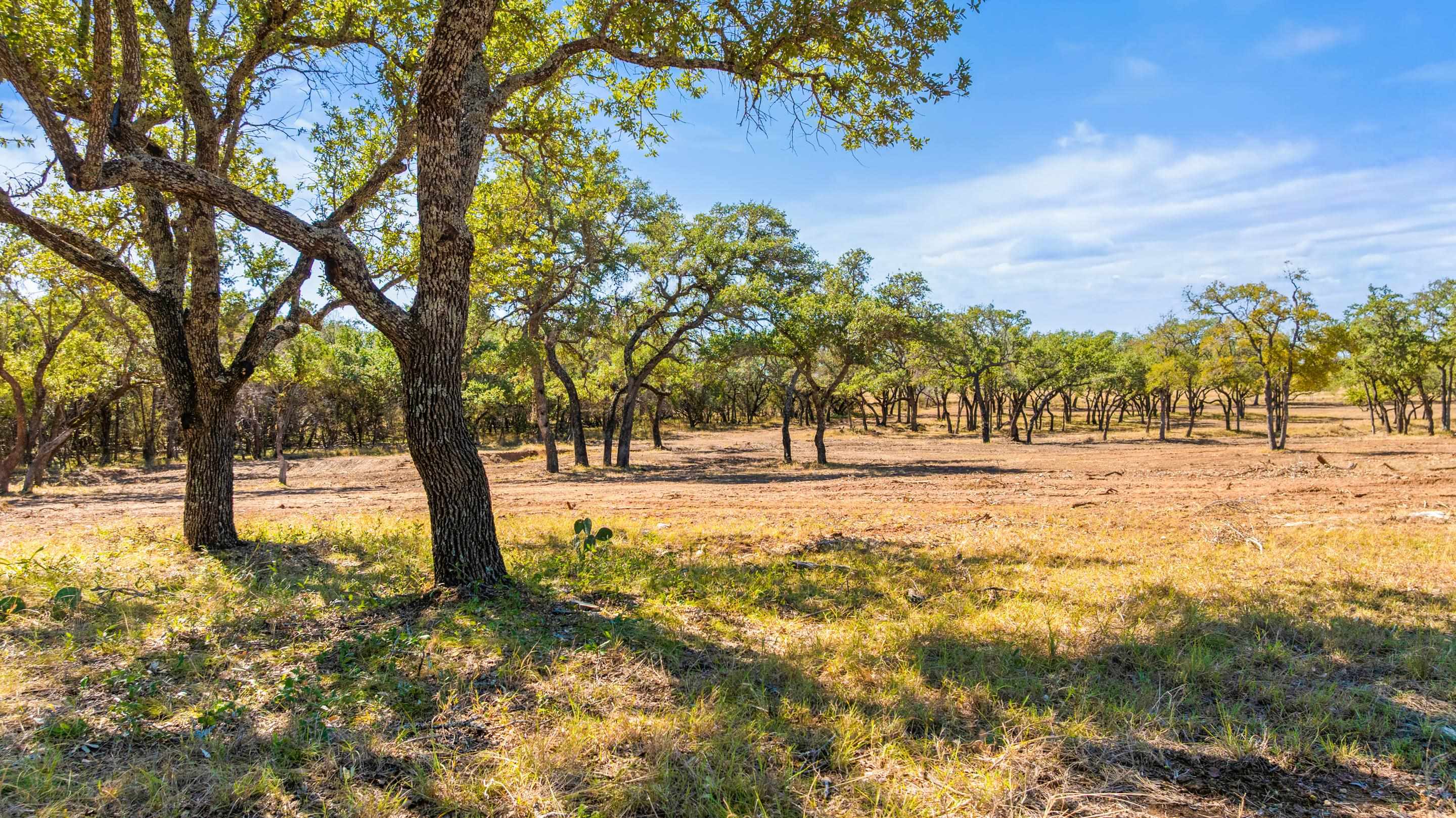 2560 Towhead Valley Road Johnson City TX 78636